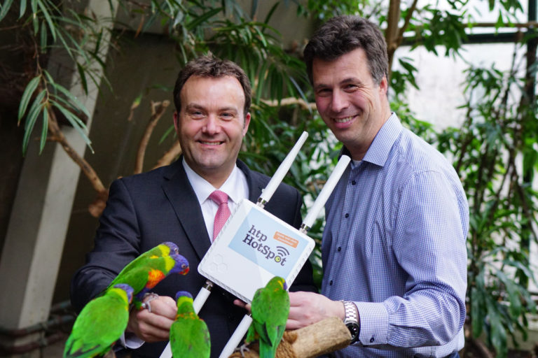 Loris fliegen auf öffentliches WLAN