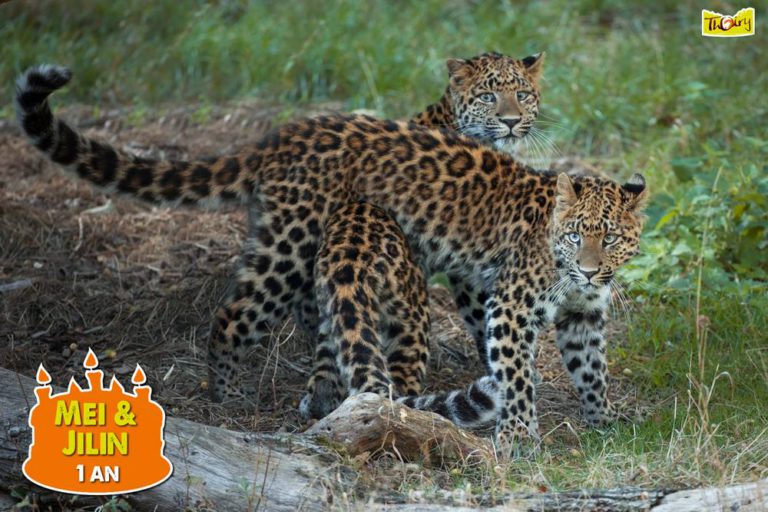 Ankunft und Abschied im Erlebnis-Zoo