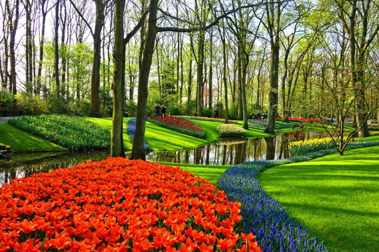 1. bis 3. Juni: „Rendezvous im Garten“: Zahlreiche Gärten in Hannover und Umgebung zu entdecken