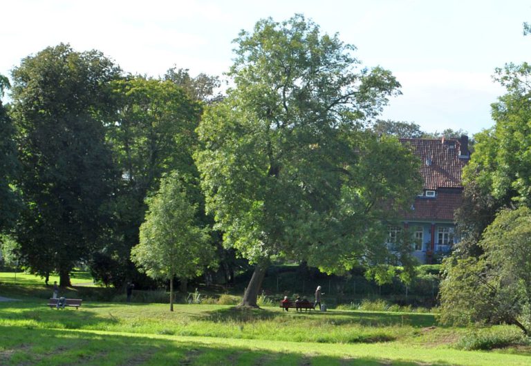 „Sport im Park – ganz Hannover ist Sportraum für alle“