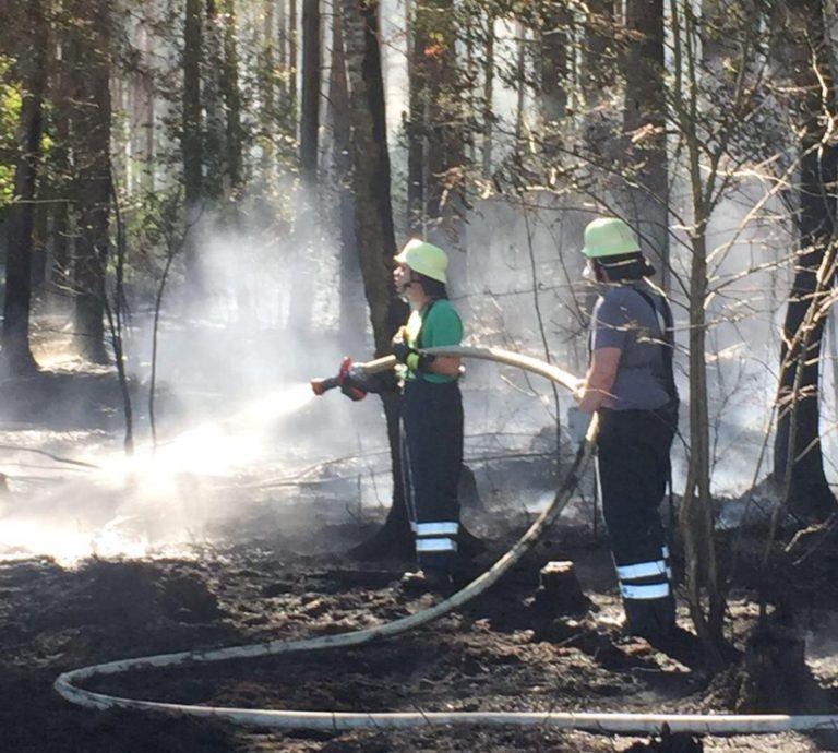 Wedemark: Feld gerät bei Mäharbeiten in Brand