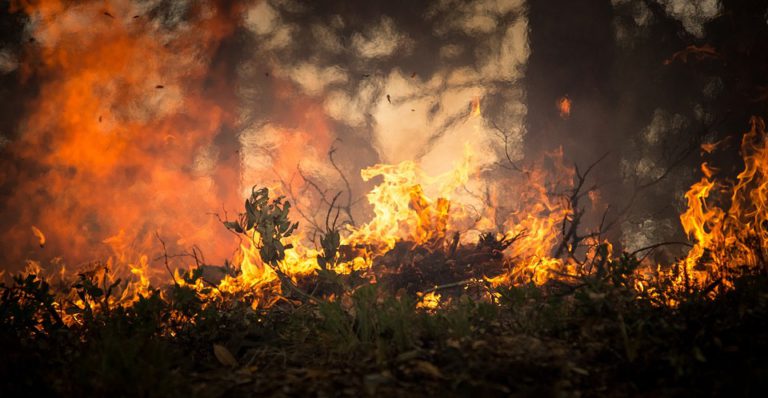 Rekord: 347 Brandmeldungen registriert