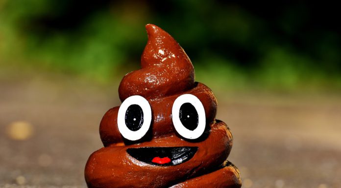 Reh aus Mittellandkanal gerettet