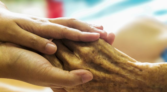 Warm-Up-Veranstaltungen zur achten Freiwilligenbörse