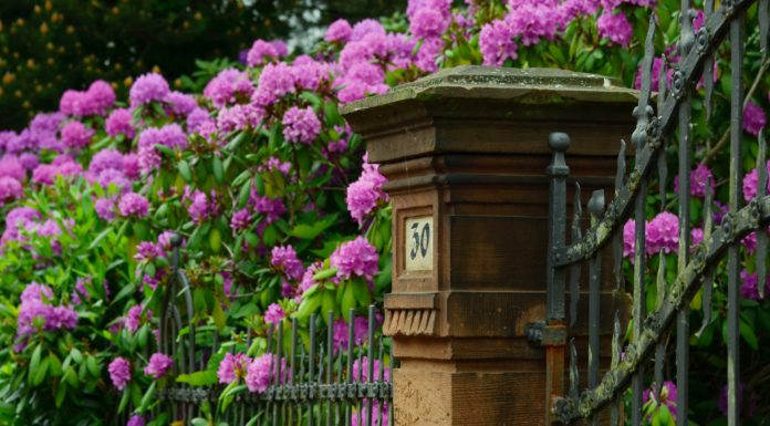 „Die offene Pforte 2019“: 156 private Gärten laden zum Besuch ein