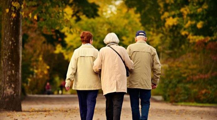 Dem Sambesi auf den Grund gehen