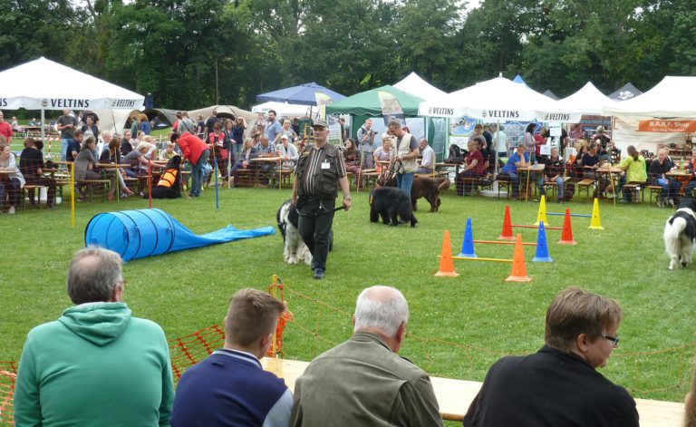 Dog Days Hannover – Das Hunde Open Air am Stadion