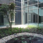 Förderzentrum Auf der Bult_Lichthof_Foto Bittner