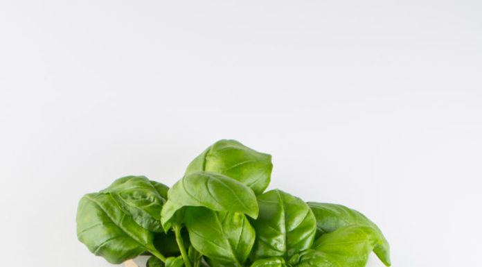 Earth Hour 2019: Lichtausschalten für den Klimaschutz – Hannover ist dabei