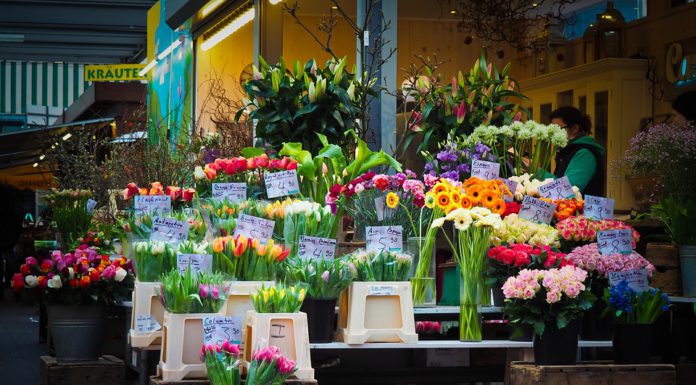 100 Jahre Wochenmarkt Stephansplatz – Geburtstagskuchen wir angeschnitten – tolles Programm