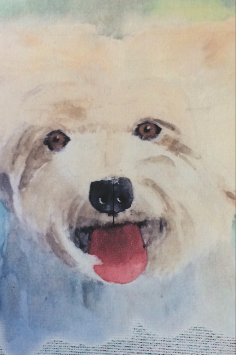 Ausstellungseröffnung „Leinwandaquarelle“