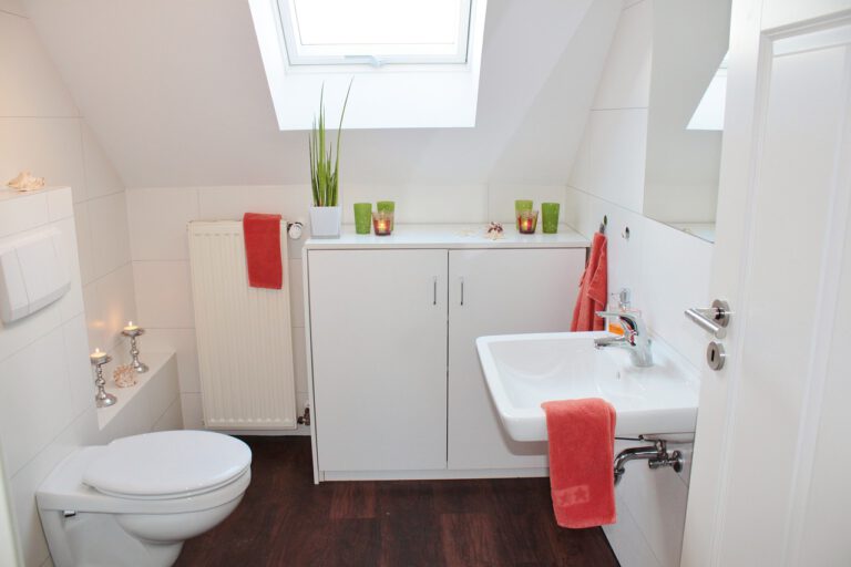 Feuchttücher nicht ins Klo – Welttag des Toilettenpapiers am 26. August