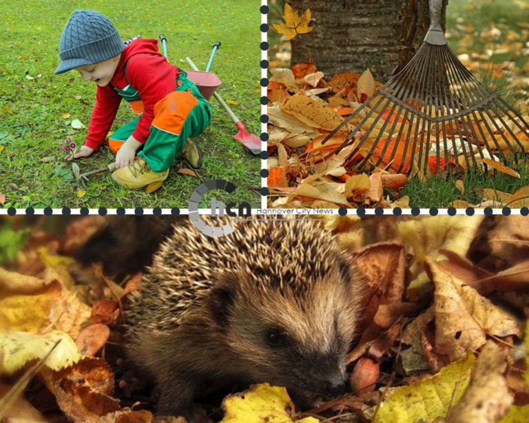 Gartenarbeiten im Oktober – Das ist  besonders wichtig