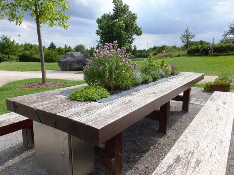 „Zukunft ernten“; Gartenregion startet Förderwettbewerb – Bewerbungen bis zum 31. März 2021 möglich