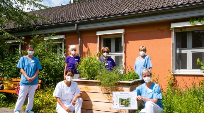 Team der Dialyse am KRH Klinikum Lehrte baut eigene Kräuter an