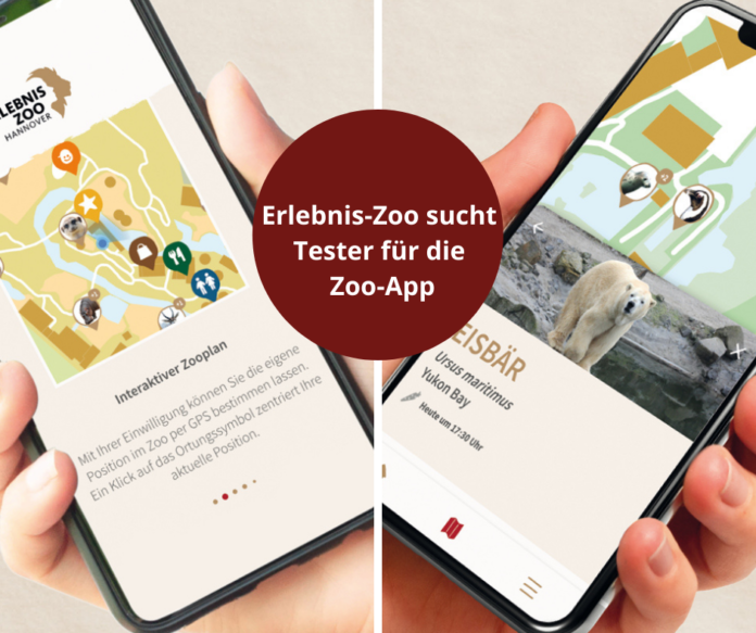 Erlebnis-Zoo sucht Tester für die Zoo-App