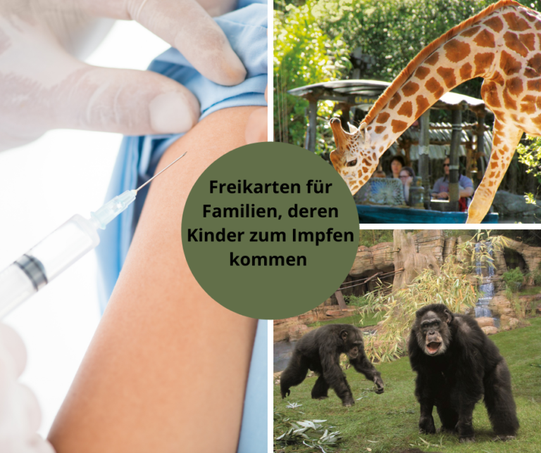 Zoo und Region Hannover planen Impfstraßen für Kinder und Erwachsene