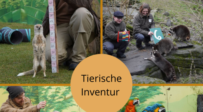 Tierische Inventur im Erlebnis-Zoo Hannover