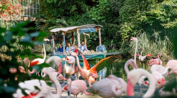 Erlebnis-Zoo hat zweites Pandemie-Jahr sehr gut bewältigt – Jahresergebnis deutlich besser als erwartet dank intensiver Anstrengungen und Spenden