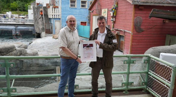 Lotta legt los – Thieme GmbH & Co. KG übernimmt Patenschaft für Seelöwin im Erlebnis-Zoo Hannover