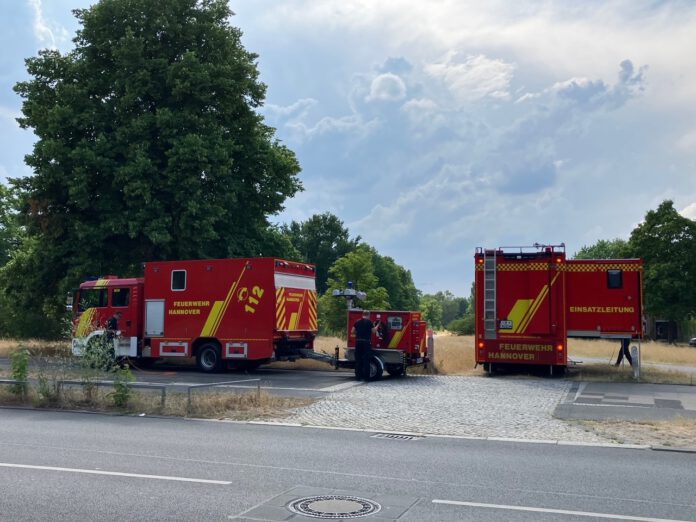 Kampfmittelbeseitigung Im Stadtteil Brink Hafen Erfolgreich ...