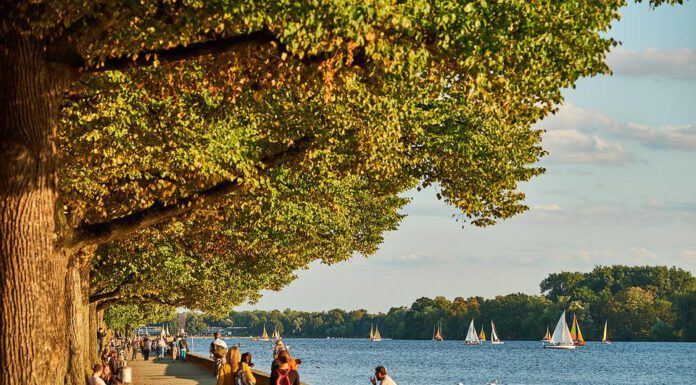 Ruderregatten am 9. Juli auf dem Maschsee