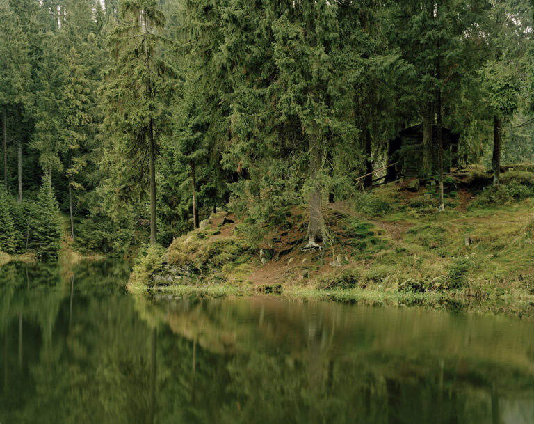 „Teich- und Waldlandschaften“: Ausstellung im Regionshaus – Künstlerische Fotografien von Martin Henze zeigen magische Naturszenen