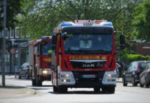 Feuerwehr rettet Frau und Katzen in Hannovers Heideviertel