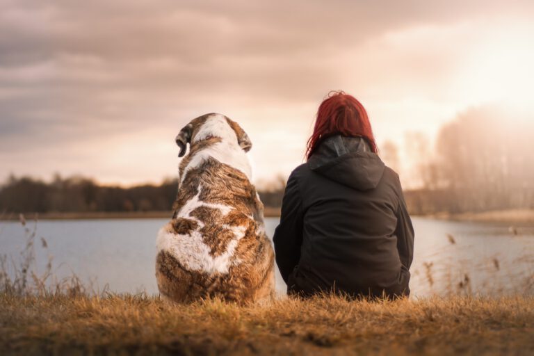Lesen macht tierisch Spaß: Malteser suchen Mensch-Hunde-Teams zur Leseförderung