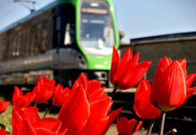 Busse und Bahnen am Pfingstmontag