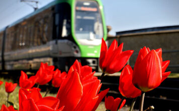 Busse und Bahnen am Pfingstmontag