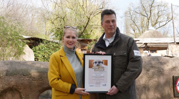 Asphalt-Magazin übernimmt Patenschaft für Erdmännchen im Erlebnis-Zoo Hannover Asphalt-Magazin übernimmt Patenschaft: Zoo-Chef Andreas M. Casdorff überreicht Katharina Sterzer, zukünftige Geschaeftsführerin des Asphalt-Magazins die Patenurkunde. Foto Erlebnis-Zoo Hannover