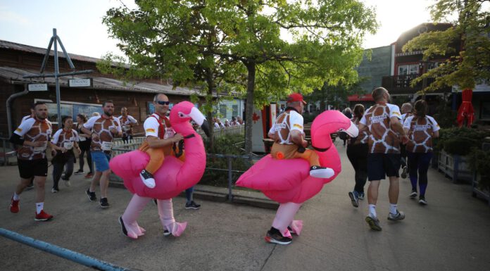 Zoo-Run für den Artenschutz – Beim Lauf durch den Erlebnis-Zoo standen die Giraffen und die Freude am Laufen im Fokus Zoo-Run für den Artenschutz - Beim Lauf durch den Erlebnis-Zoo standen die Giraffen und die Freude am Laufen im Fokus