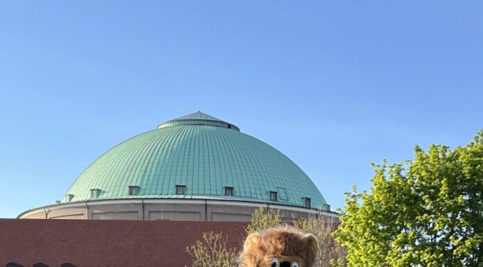 Jugendrotkreuz feiert 75 Jahre mit einem großen Familienfest im Stadtpark