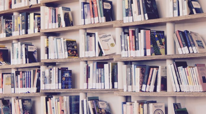 Stadtteilkultur Hannover bietet mit „Eselsohren“ kreative Erlebnisse an den Bücherschränken Stadtteilkultur bietet kreative Erlebnisse an Bücherschränken. Themenfoto Bücherschrank.