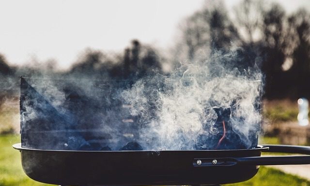 Wegen Brandgefahr: Grillen in öffentlichen Park- und Grünanlagen verboten Grillen in öffentlichen Park- und Grünanlagen verboten. Themenfoto.