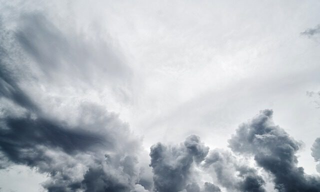 Tiergarten, Waldstation, Stadtpark und Berggarten am 5.7.2023 geschlossen Tiergarten, Waldstation, Stadtpark und Berggarten geschlossen