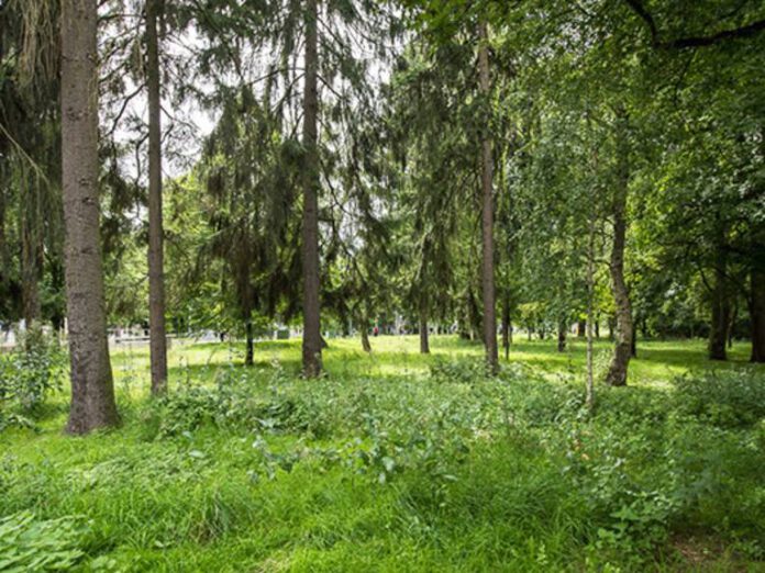 World Cleanup Day am 16. 09. - Aufräumen in 2 „Wildnisflächen“ der Stadt