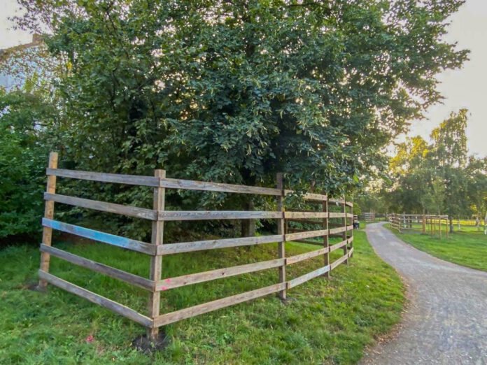 Vahrenwalder Park erhält Beleuchtung - Ab Ende November kann der Weg auch abends sicher genutzt werden