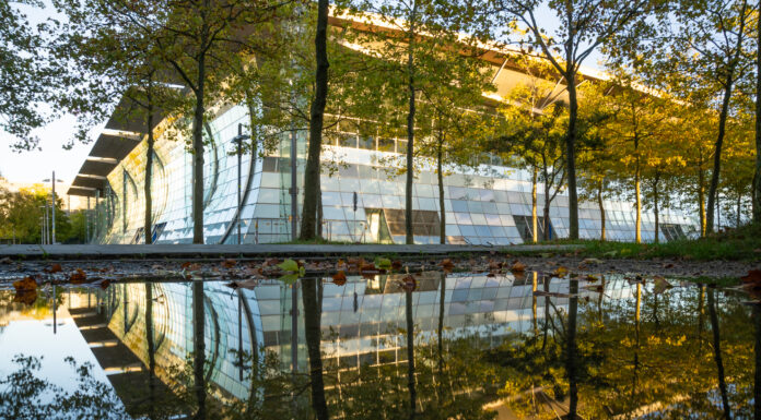 bene-Stiftung möchte Deutschen Pavillon kaufen - Neue Nutzung für den Deutschen Pavillon in Aussicht