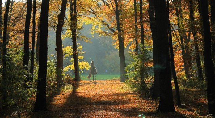 Veloroute 5 voll gesperrt Veloroute 5 voll gesperrt