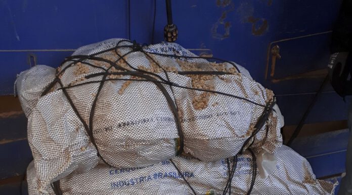 Zollfahndungsamt Hannover stellt 142 Kilogramm Kokain in Kaffeecontainer in Bremen sicher