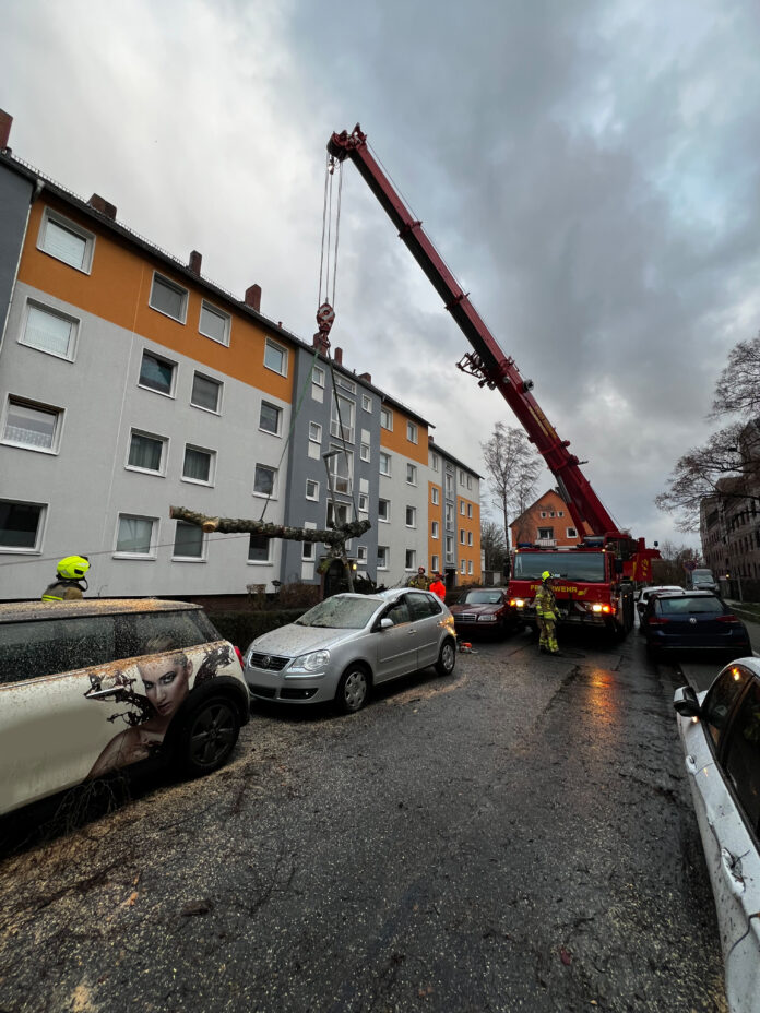 13 Sturmeinsätze im Stadtgebiet - Sturm hält Feuerwehr auf Trab