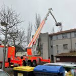 Spektakuläre Rettungsaktion: Feuerwehr holt Katze mit Teleskopmastbühne vom Baum