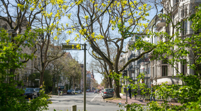Wegerückbau in der Eilenriede hat begonnen