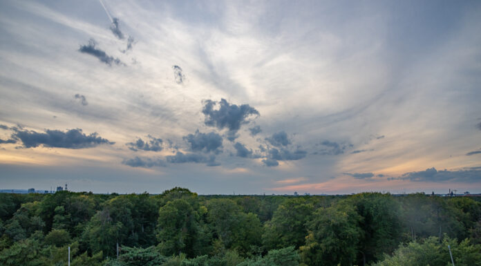 Auf 121 Führungen mit Expert*innen die Natur erkunden - Grünes Hannover