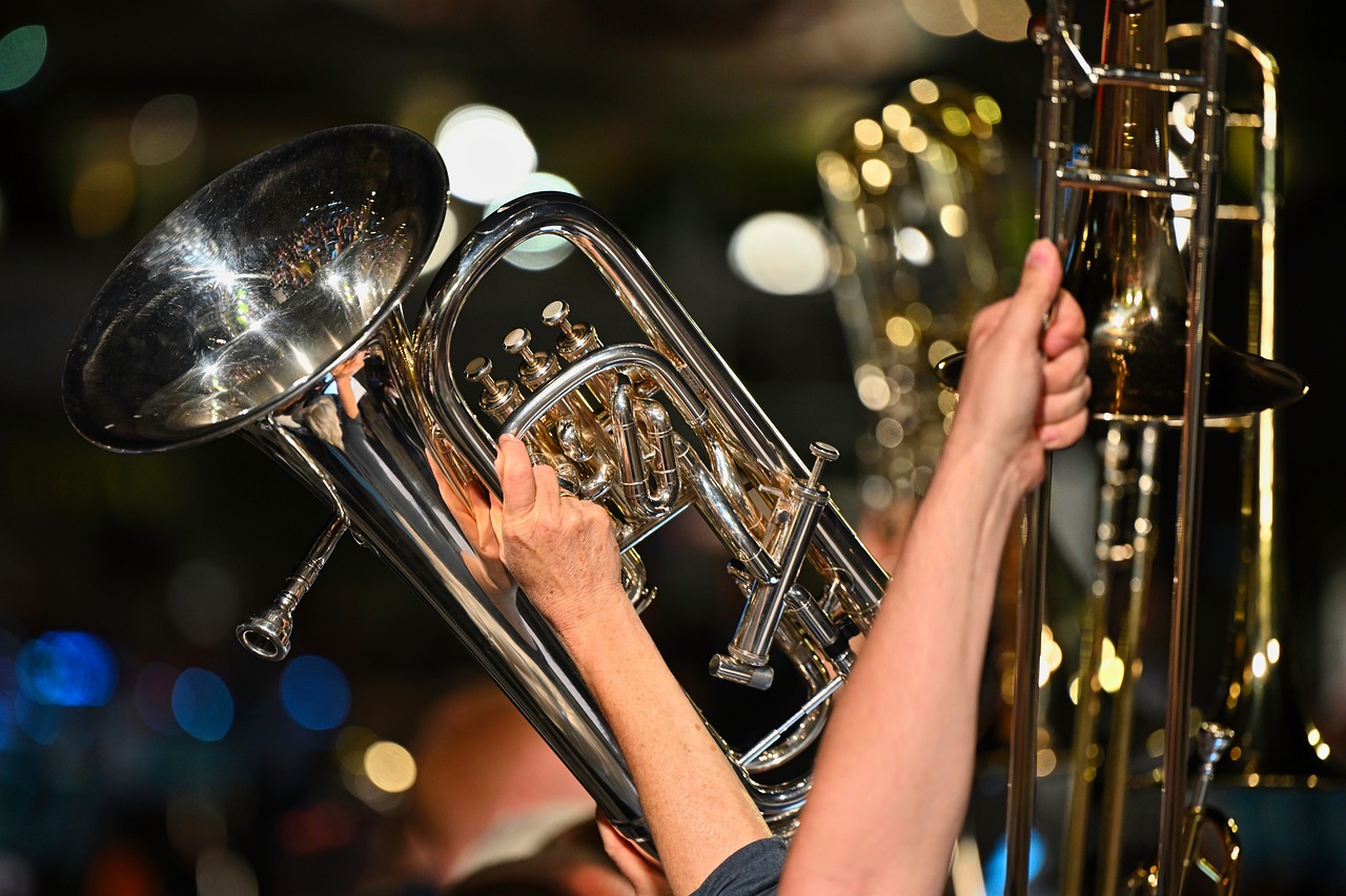 Musikschule Hannover lädt ein zum Musikschultag am 9. März 2024 - Tuba steht im Mittelpunkt