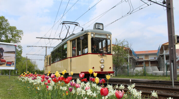 Historische Fahrten zum Maifeiertag: Feiertagsausflug mit dem Maibaumexpress derÜSTRA