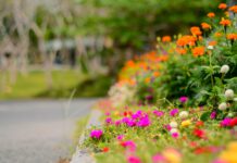 „Die Offene Pforte“ 2024 - 121 private Gärten laden zum Besuch ein