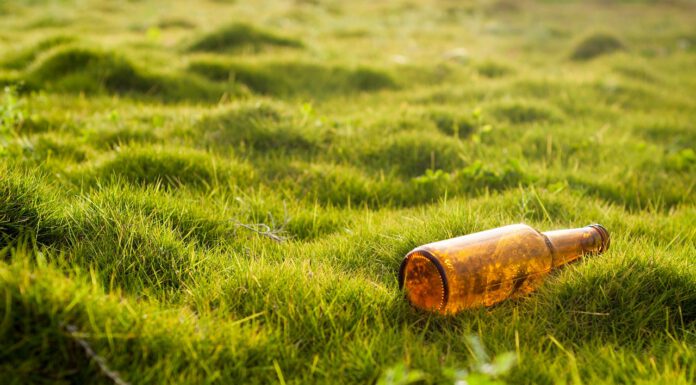 Himmelfahrt: Glasverbot im Maschpark